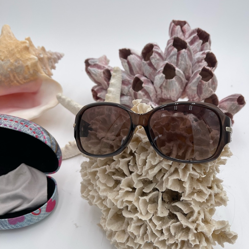 Dior Black and Brown Sunglasses